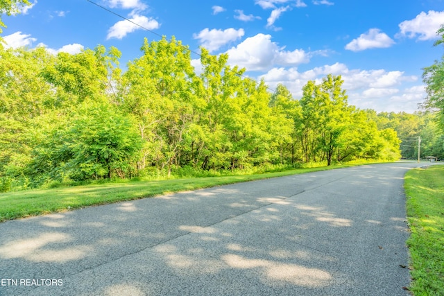LOT3 Shanghai Landing Ln, Lafollette, TN 37766 - photo 3