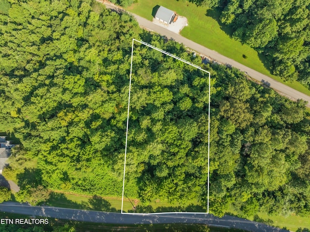 LOT3 Shanghai Landing Ln, Lafollette, TN 37766 - photo 1