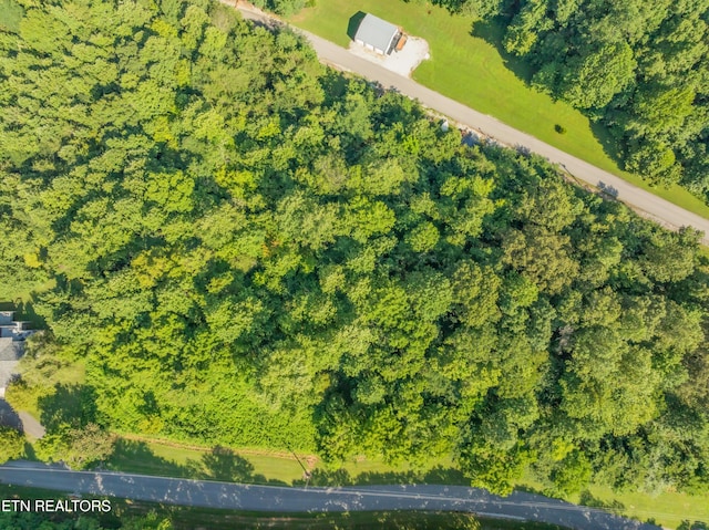 LOT3 Shanghai Landing Ln, Lafollette, TN 37766 - photo 4