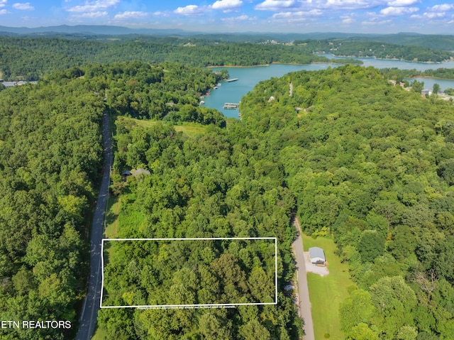 LOT3 Shanghai Landing Ln, Lafollette, TN 37766 - photo 5