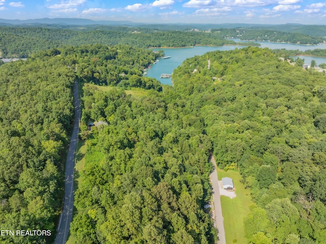 LOT3 Shanghai Landing Ln, Lafollette, TN 37766 - photo 6