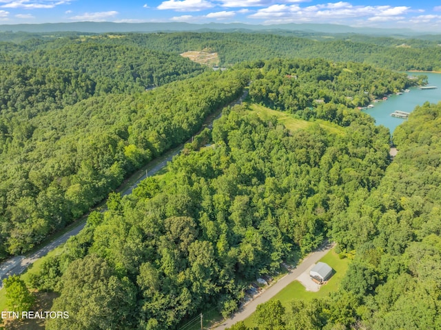 LOT3 Shanghai Landing Ln, Lafollette, TN 37766 - photo 7