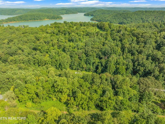 LOT3 Shanghai Landing Ln, Lafollette, TN 37766 - photo 9