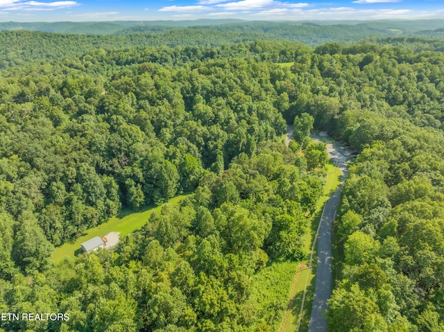 LOT3 Shanghai Landing Ln, Lafollette, TN 37766 - photo 10