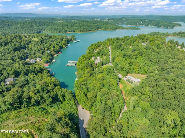 LOT3 Shanghai Landing Ln, Lafollette, TN 37766 - photo 11