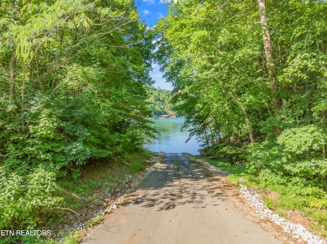 LOT3 Shanghai Landing Ln, Lafollette, TN 37766 - photo 14