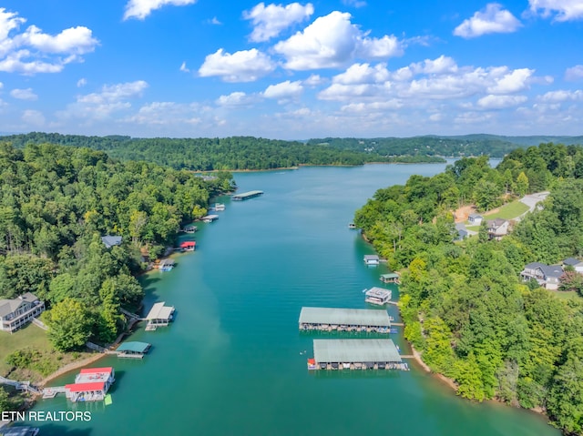 LOT3 Shanghai Landing Ln, Lafollette, TN 37766 - photo 15