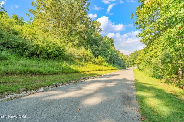 LOT3 Shanghai Landing Ln, Lafollette, TN 37766 - photo 18