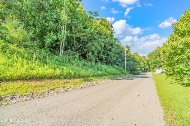 LOT3 Shanghai Landing Ln, Lafollette, TN 37766 - photo 19