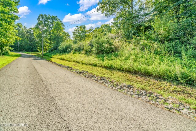 LOT3 Shanghai Landing Ln, Lafollette, TN 37766 - photo 20
