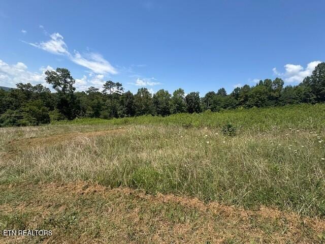 Old Harriman Hwy, Harriman, TN 37748 - photo 2