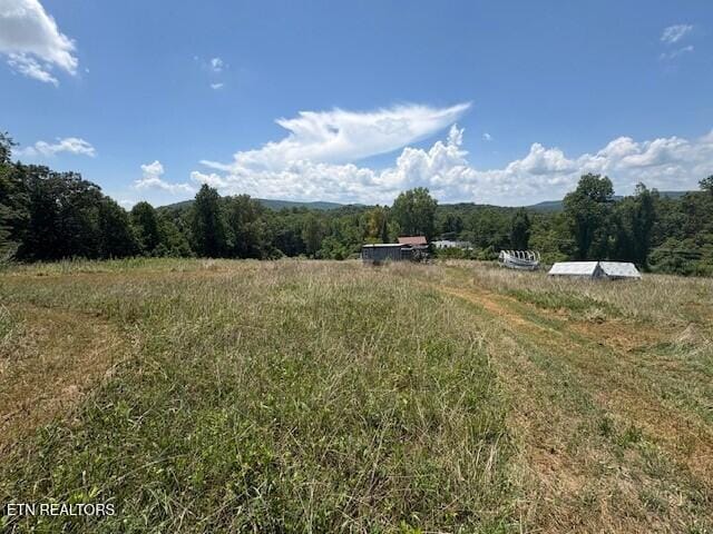 Old Harriman Hwy, Harriman, TN 37748 - photo 3