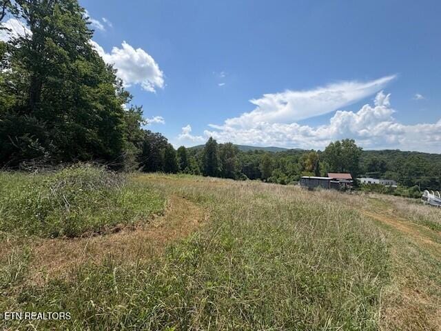 Old Harriman Hwy, Harriman, TN 37748 - photo 4