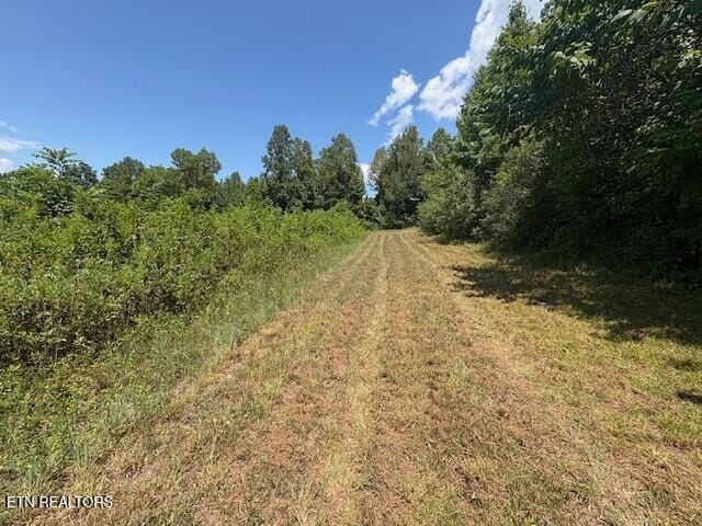 Old Harriman Hwy, Harriman, TN 37748 - photo 5