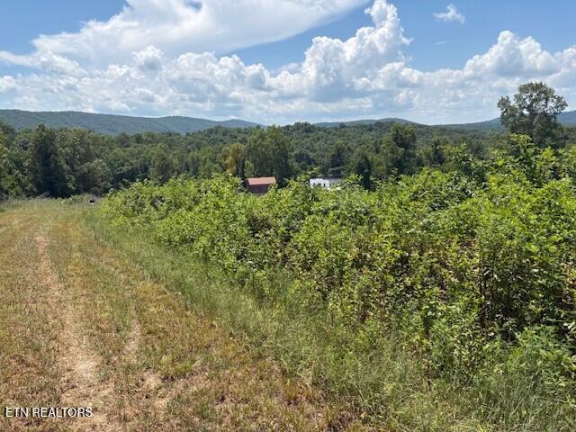 Old Harriman Hwy, Harriman, TN 37748 - photo 6