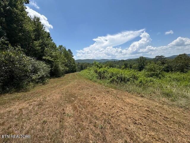 Old Harriman Hwy, Harriman, TN 37748 - photo 7