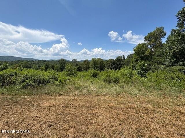 Old Harriman Hwy, Harriman, TN 37748 - photo 8