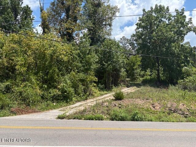 Old Harriman Hwy, Harriman, TN 37748 - photo 9