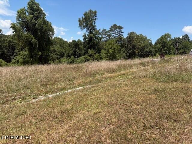 Old Harriman Hwy, Harriman, TN 37748 - photo 11