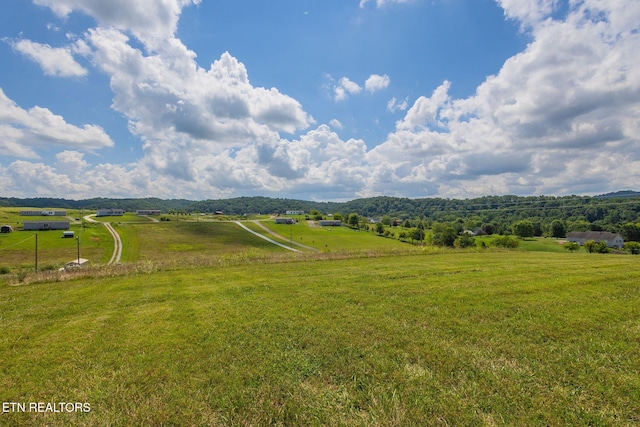 1702 Howell River Rd, Rutledge, TN 37861 - photo 35