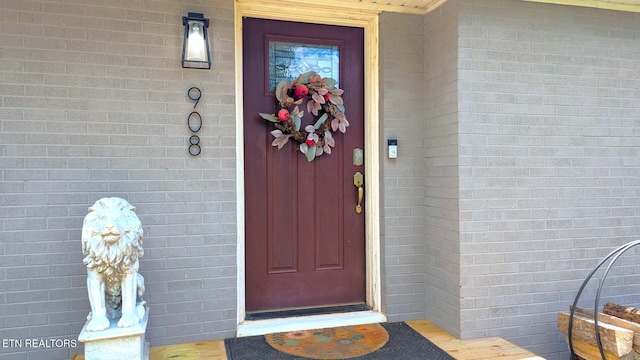 908 Wedgewood Rd, Knoxville, TN 37914 - photo 3