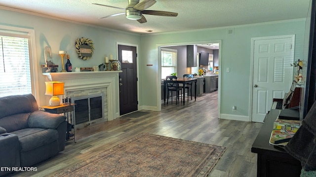 908 Wedgewood Rd, Knoxville, TN 37914 - photo 12