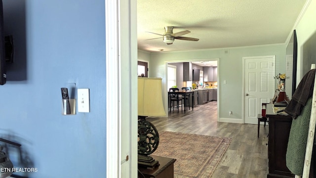 908 Wedgewood Rd, Knoxville, TN 37914 - photo 11