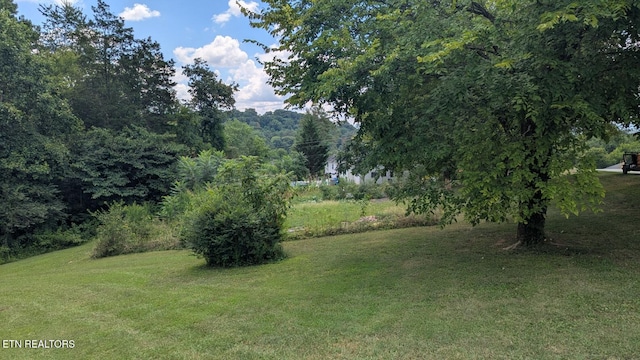 908 Wedgewood Rd, Knoxville, TN 37914 - photo 45