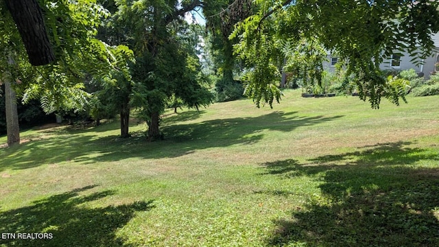 908 Wedgewood Rd, Knoxville, TN 37914 - photo 42