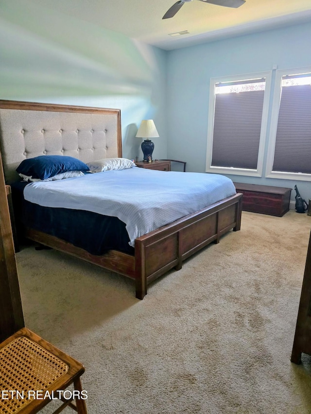 2207 Frewin Ct, Sevierville, TN 37876 - photo 9