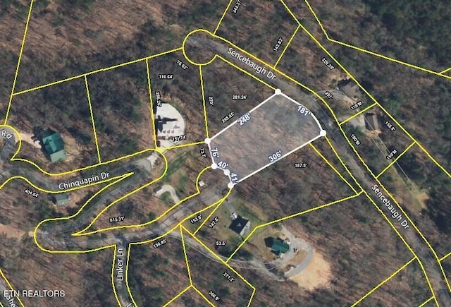 Chinquapin, Sevierville, TN 37876 - photo 1