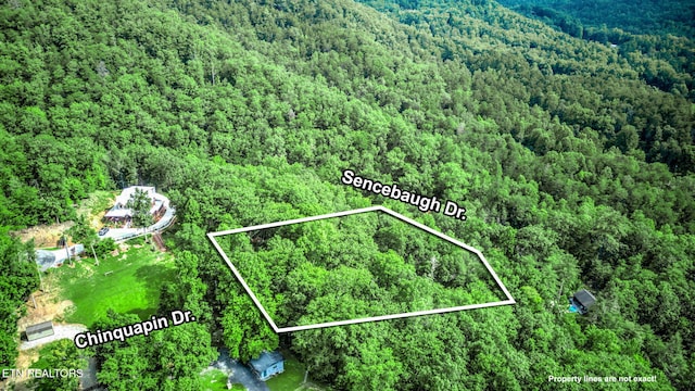 Chinquapin, Sevierville, TN 37876 - photo 2