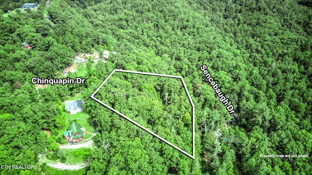 Chinquapin, Sevierville, TN 37876 - photo 3