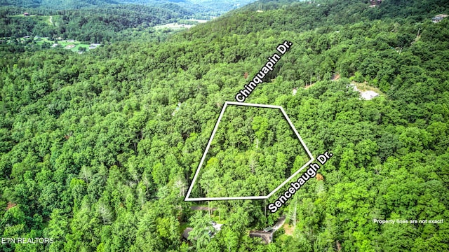 Chinquapin, Sevierville, TN 37876 - photo 5