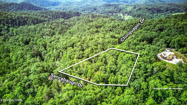 Chinquapin, Sevierville, TN 37876 - photo 6