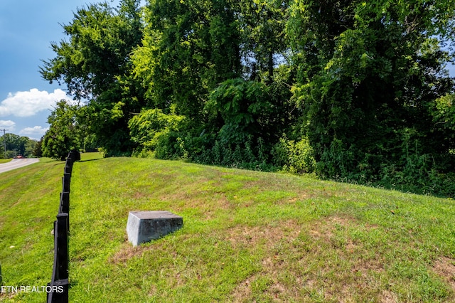 LOT11 Rankin Ferry Loop, Louisville, TN 37777 - photo 7