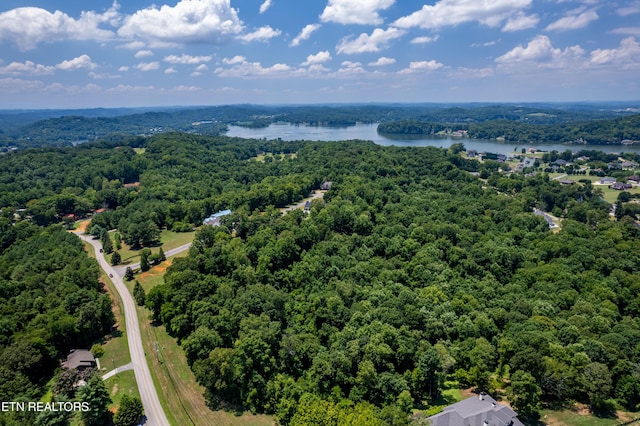 LOT11 Rankin Ferry Loop, Louisville, TN 37777 - photo 13