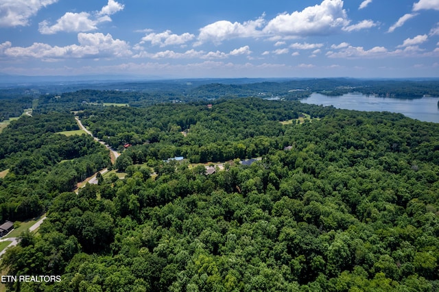 LOT11 Rankin Ferry Loop, Louisville, TN 37777 - photo 15