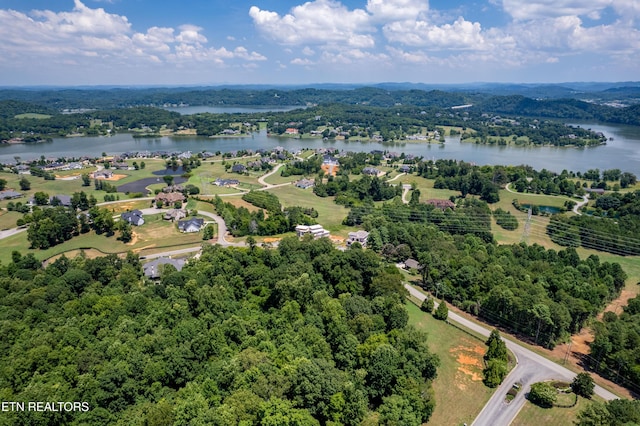 LOT11 Rankin Ferry Loop, Louisville, TN 37777 - photo 16