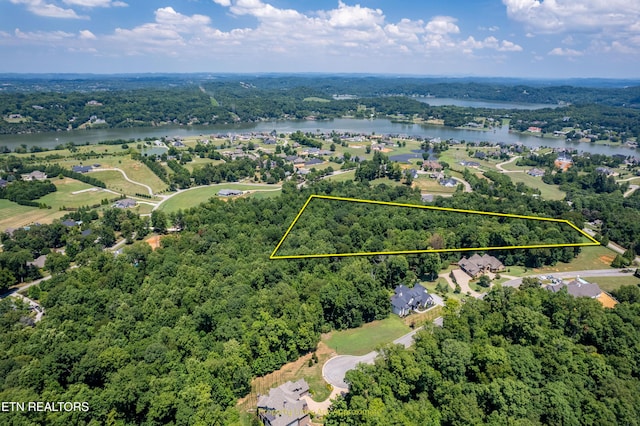 LOT11 Rankin Ferry Loop, Louisville, TN 37777 - photo 5