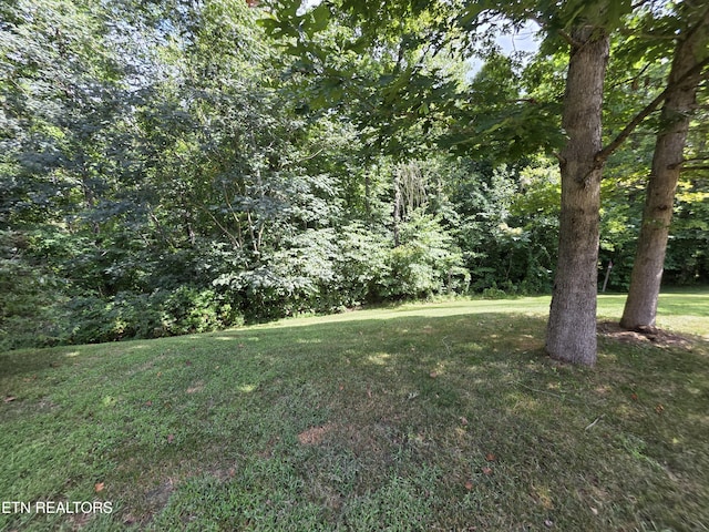 574 Bacon Springs Ln, Clinton, TN 37716 - photo 59