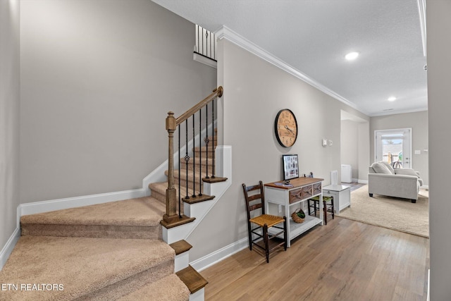 11345 Flame Willow Ln, Knoxville, TN 37932 - photo 5