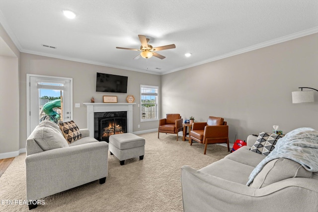 11345 Flame Willow Ln, Knoxville, TN 37932 - photo 9