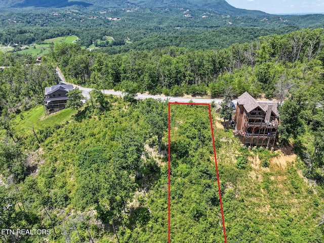 LOT24 Coopers Hawk Way, Sevierville, TN 37862 - photo 3