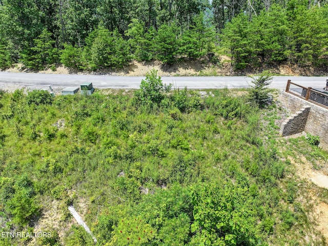 LOT24 Coopers Hawk Way, Sevierville, TN 37862 - photo 4