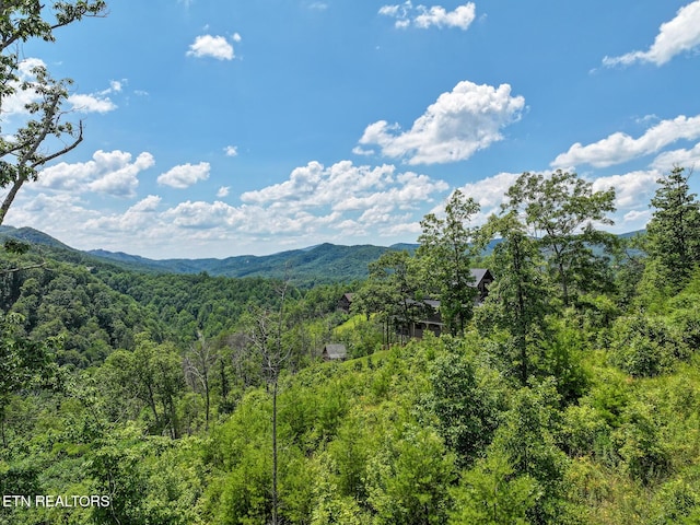 LOT24 Coopers Hawk Way, Sevierville, TN 37862 - photo 2