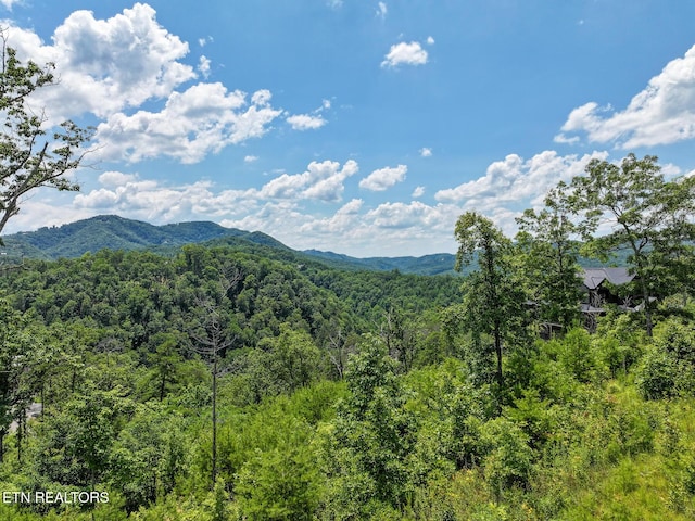 LOT24 Coopers Hawk Way, Sevierville, TN 37862 - photo 5