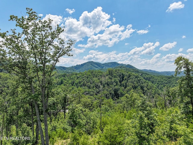 LOT24 Coopers Hawk Way, Sevierville, TN 37862 - photo 6