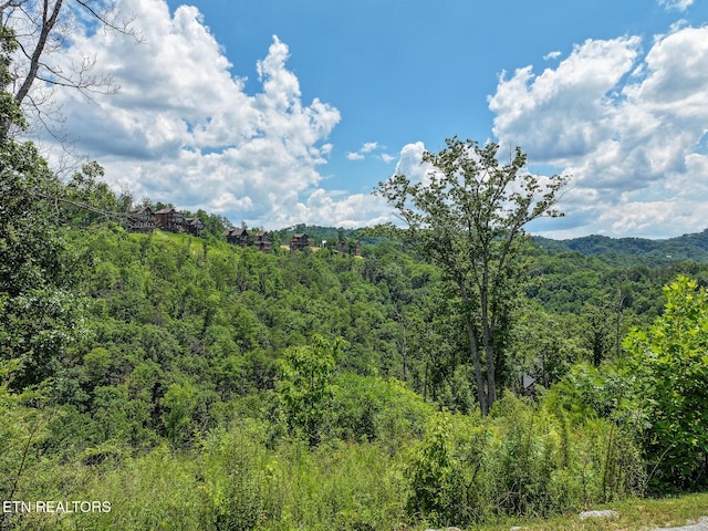 LOT24 Coopers Hawk Way, Sevierville, TN 37862 - photo 7