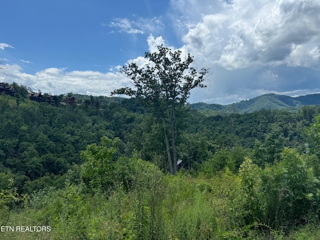 LOT24 Coopers Hawk Way, Sevierville, TN 37862 - photo 9